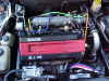 hoses.JPG (87260 bytes)